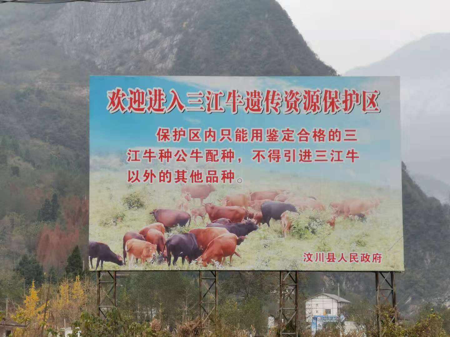 TIM图片20181121200224.jpg